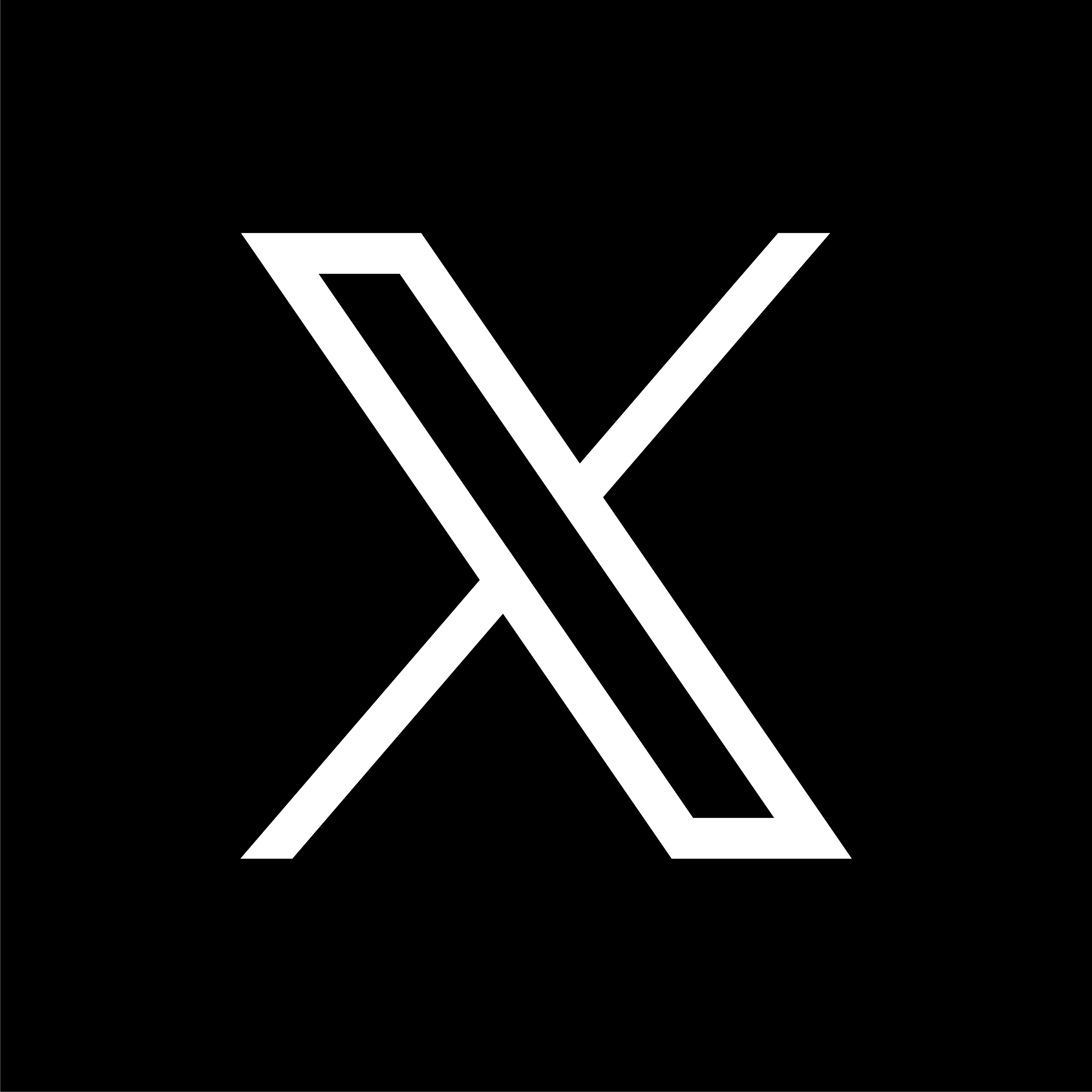 X icon